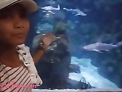 �������� �������� ����� �� ������� �������